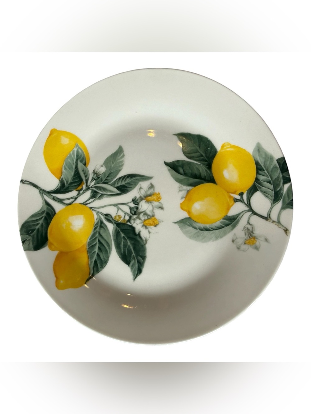 Royal Norfolk Lemon Salad Plates Set of 7 Citrus Farmhouse Cottage Kitchen